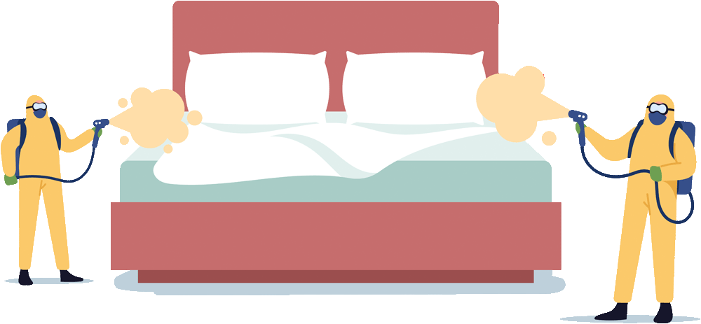 imagen de limpieza a fondo de colchon